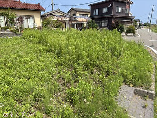 外観：315000028336