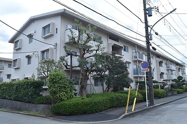 外観：312001341343