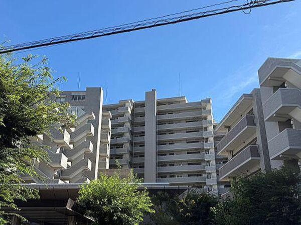 外観：312001323778