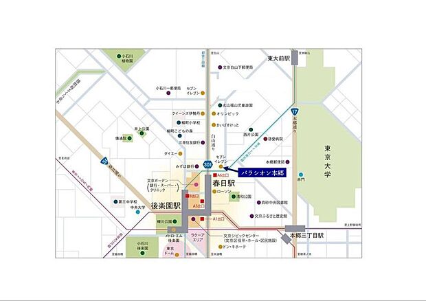 パラシオン本郷(1LDK) 8階/8Fのその他画像