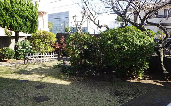 広い庭（写真向かい側に見える建物は鵠沼中学校体育館）