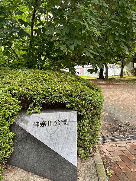 神奈川公園入口.JPG