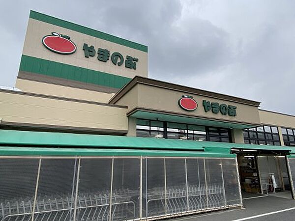 画像29:【スーパー】スーパーやまのぶ梅坪店まで807ｍ