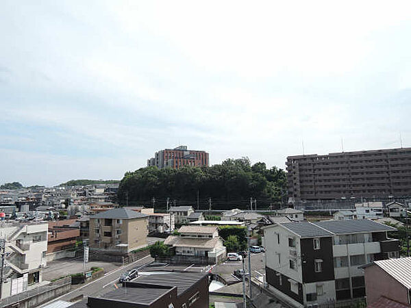 カネロク竜美丘 ｜愛知県岡崎市明大寺町字荒井(賃貸マンション3LDK・7階・66.01㎡)の写真 その10