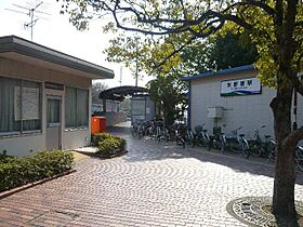 サンシャインヒル細川 206 ｜ 愛知県岡崎市細川町字岩御堂69番地1（賃貸アパート1LDK・2階・38.81㎡） その21