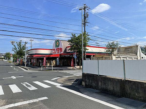 画像22:【スーパー】コノミヤ 菅田店まで1294ｍ