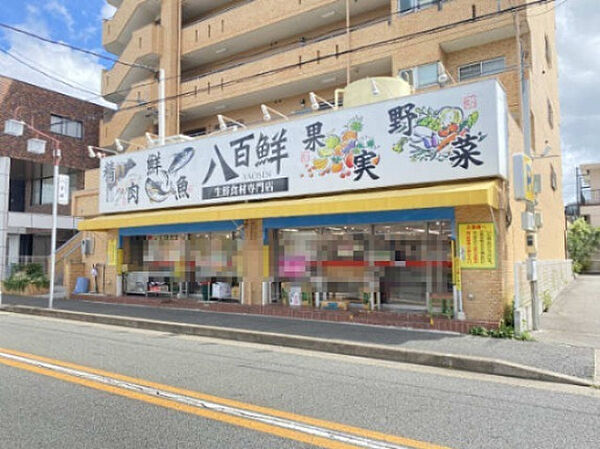 画像27:【スーパー】生鮮食材専門店　八百鮮　川原通店まで676ｍ