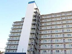 新所沢スカイハイツ5階ニトリ家具付き物件