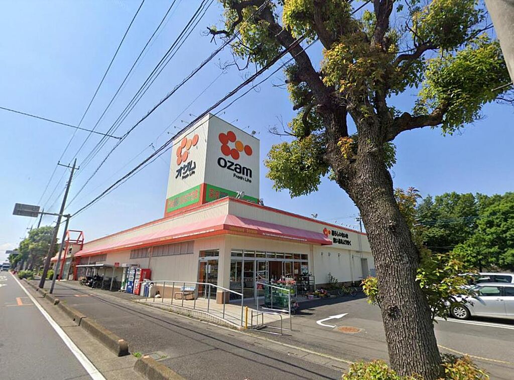 Image 40