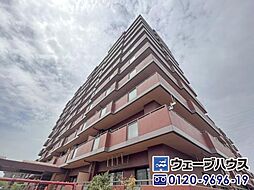 セザール岡南