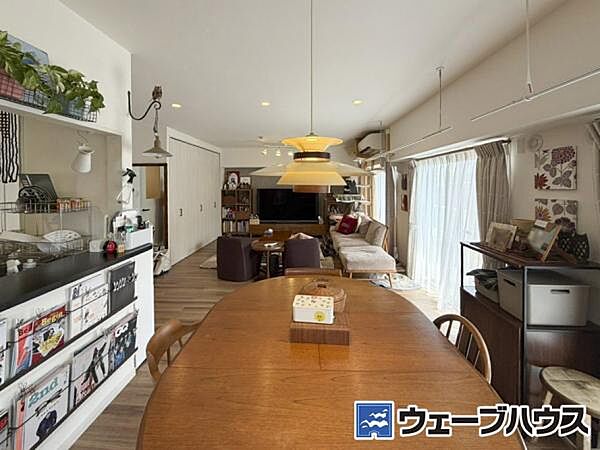 2026年3月撮影
