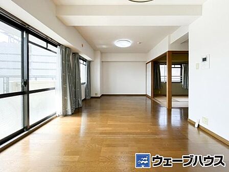 2026年3月撮影