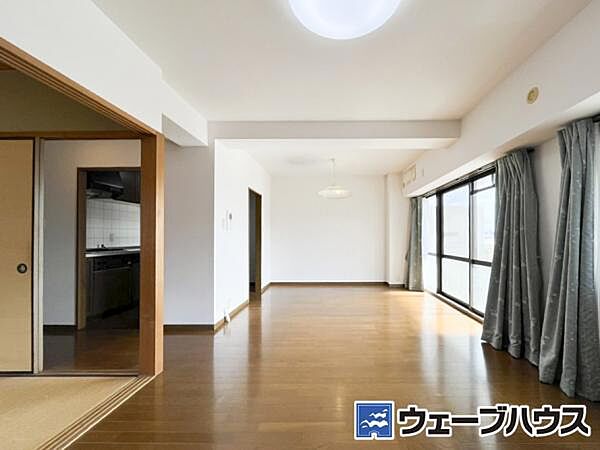 2026年3月撮影