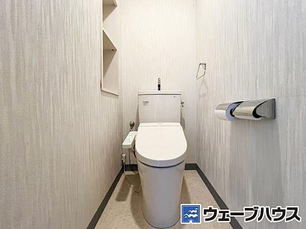 2026年3月撮影