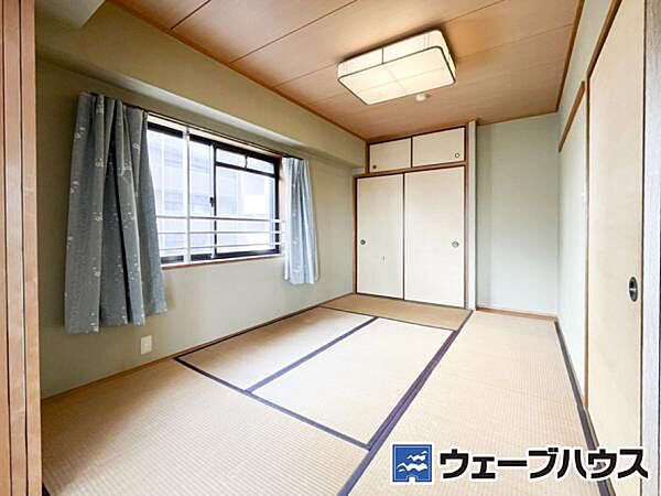 2026年3月撮影