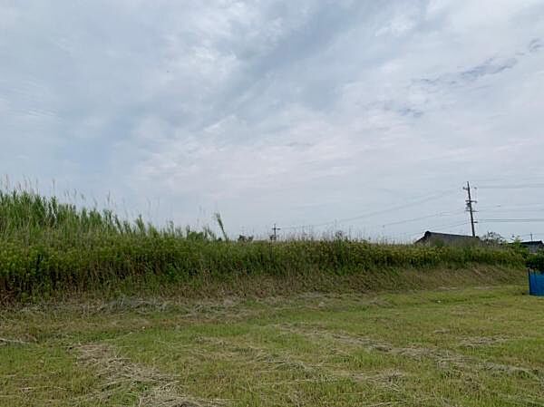外観：323000543119
