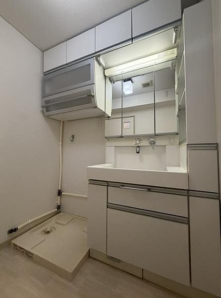 洗面所収納です。タオルや洗剤などが充分に収納できます。