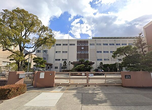 周辺を拡大表示