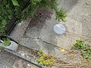 汚水桝(敷地内南東にあり)