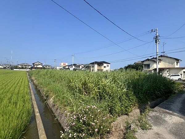 外観：338000057454
