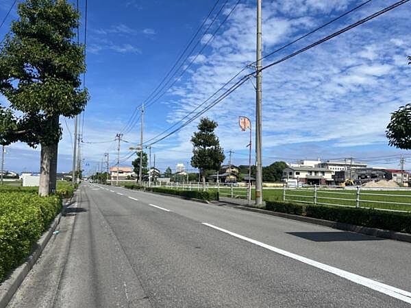 前面道路（南東）