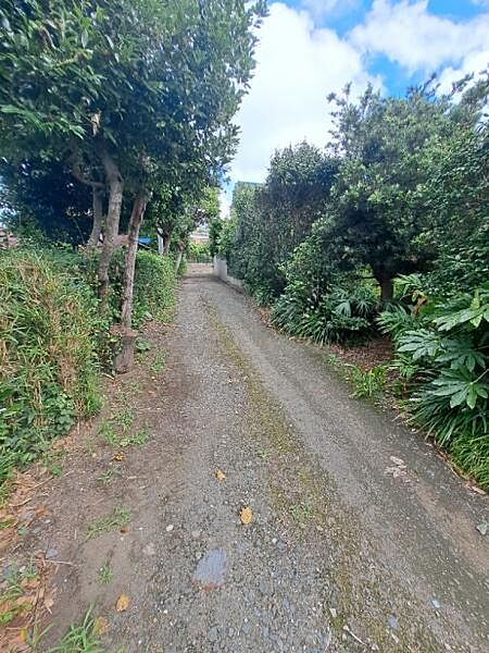 前面道路を撮影