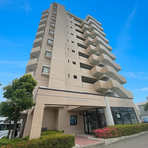 外観：317000011008