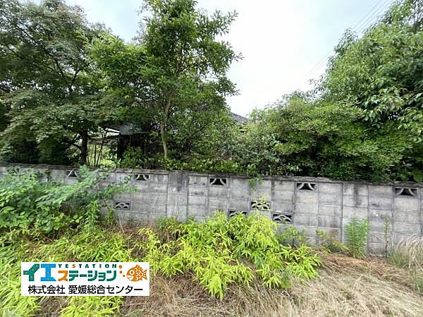 左アングル