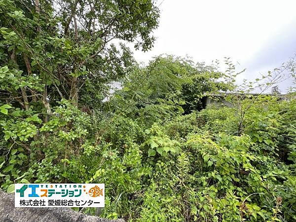 敷地内