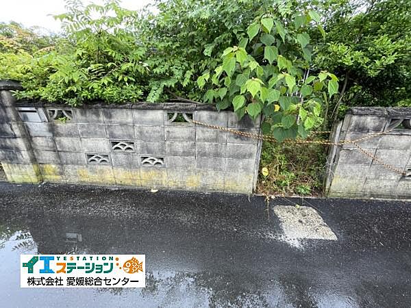 正面写真