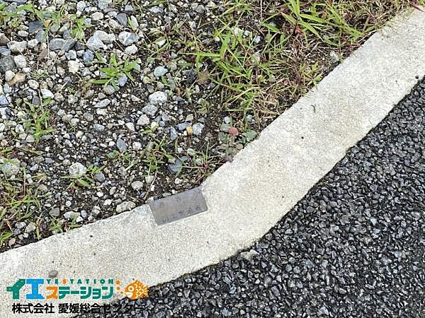 南西側の境界杭です。