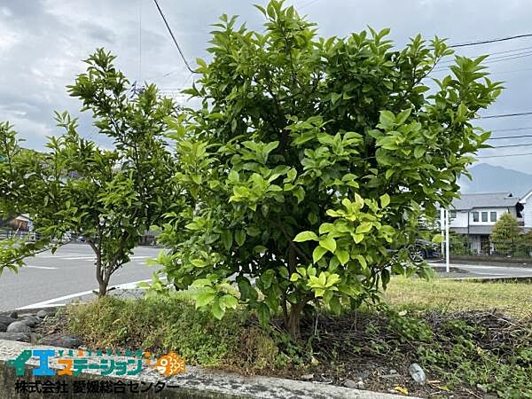構造物(木)です。