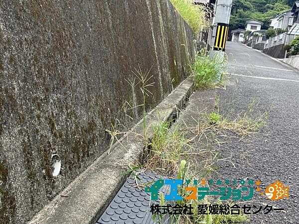 土地の北側の道路との境界です。（東向き）