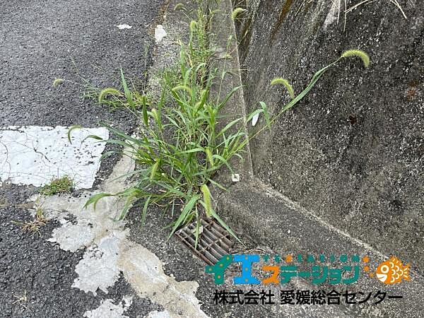 北西の角の境界写真です。