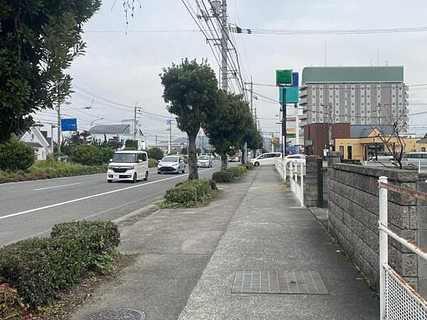 前面道路(産業道路)