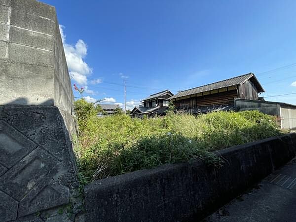 全景　南から