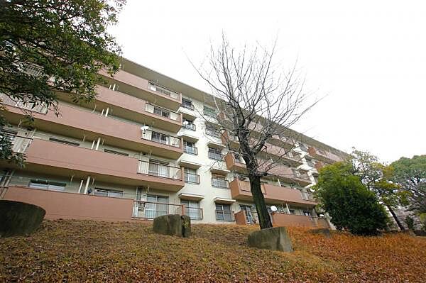 外観：340000213437