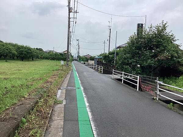 南側道路(東側より)