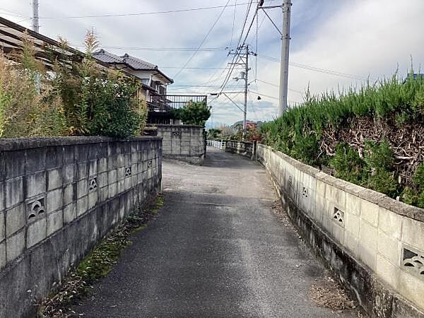 北側道路（東側より）