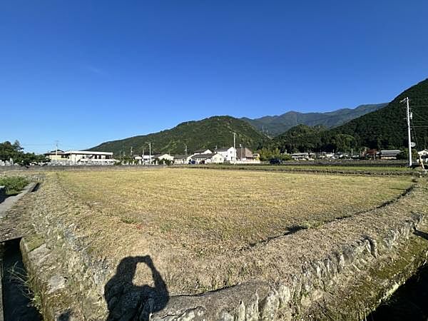 外観：338000053288