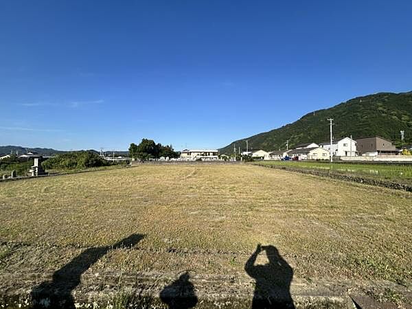 全景（西側道路より）