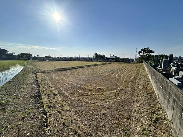 全景（南東より）