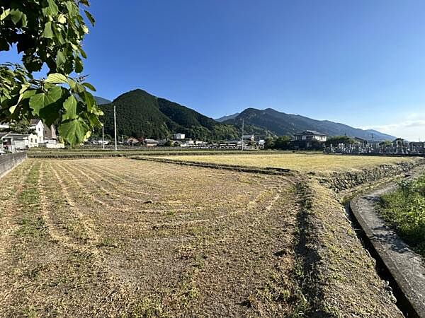 全景（北東より）