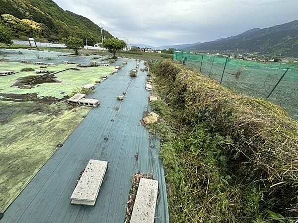 南側境界　水路