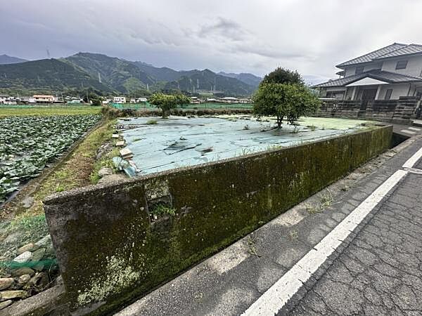 正面
