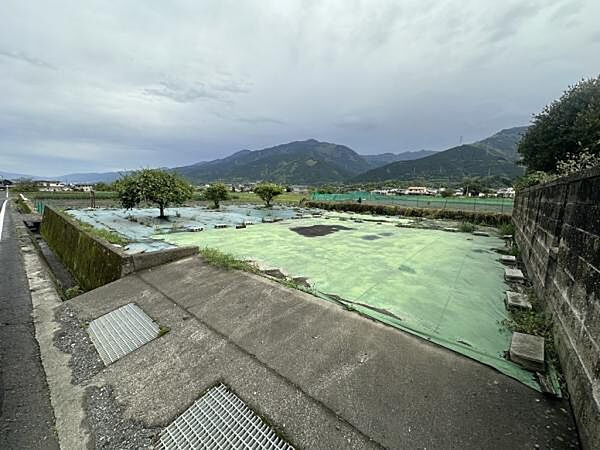 正面
