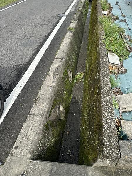 北側水路