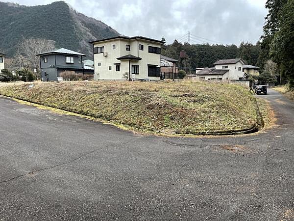 外観：309000096619