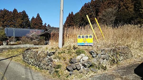 外観：309000096827