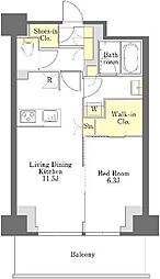 プライムメゾン江古田の杜イースト 1LDKの間取図画像